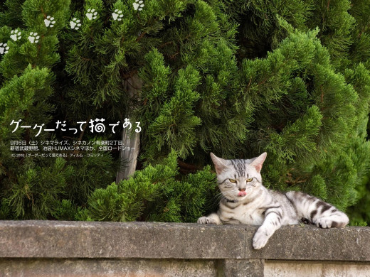 360364 (a): :1600x1200